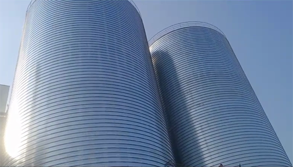 南岳2座混凝土高架卷板仓